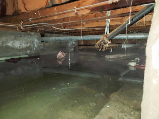 Best Sewage cleanup and water damage restoration  in Carnegie, PA