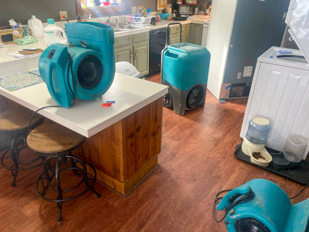 Best Basement water damage restoration  in Carnegie, PA