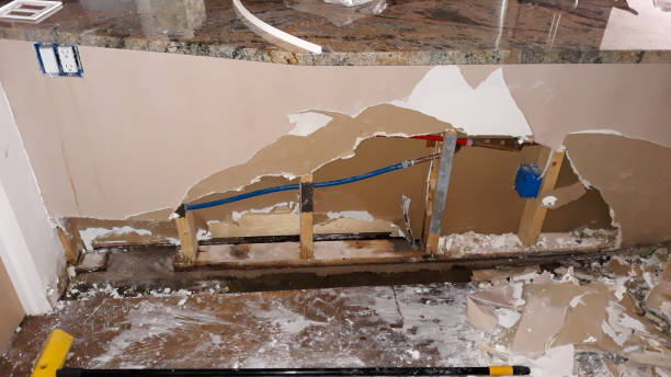 Best Flood damage cleanup  in Carnegie, PA