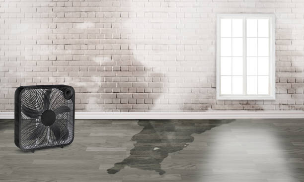 Best Residential water damage restoration  in Carnegie, PA