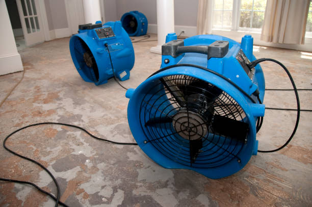Best Professional water damage repair  in Carnegie, PA