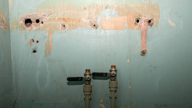 Best Professional water damage repair  in Carnegie, PA